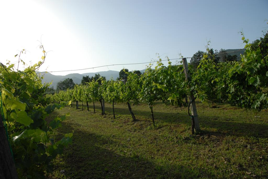 Tenuta Torellone San Potito Sannitico Luaran gambar